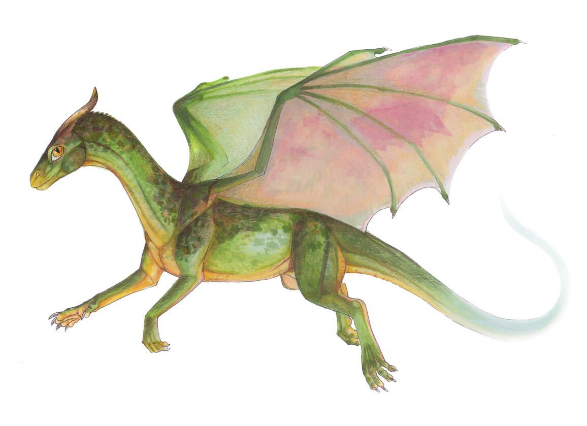 Rifle Dragon Rifle Dragon
