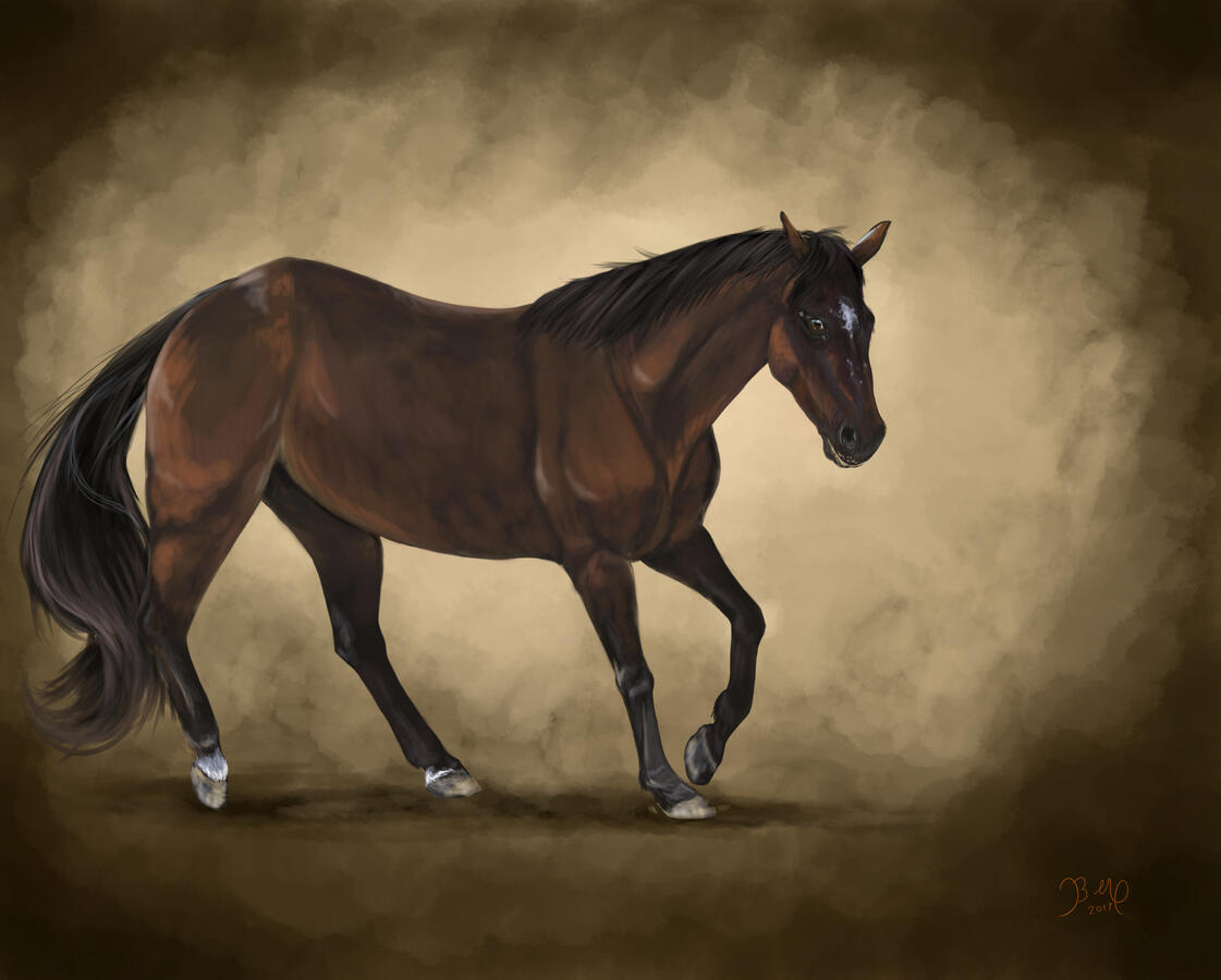 horse portrait