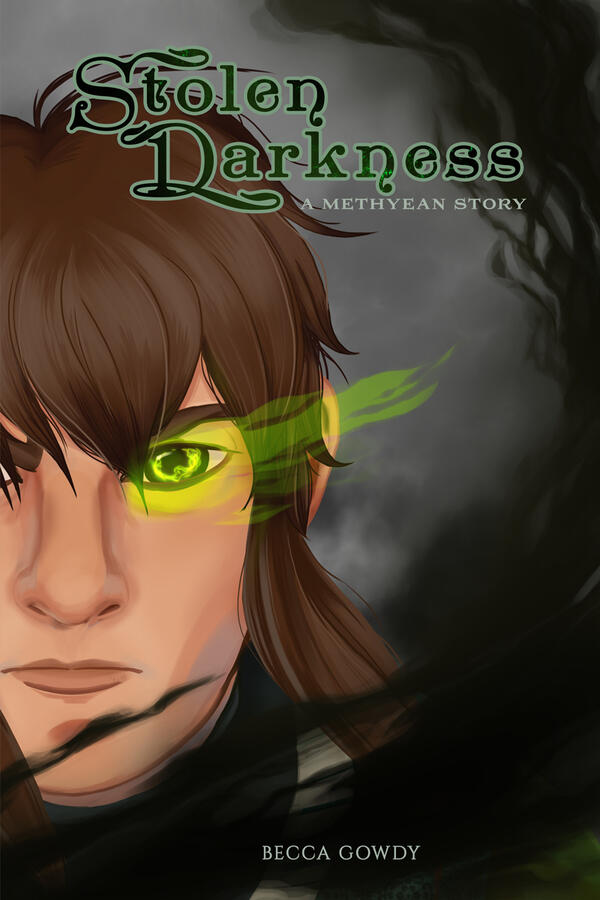 Stolen Darkness cover Example of an Illustrated cover