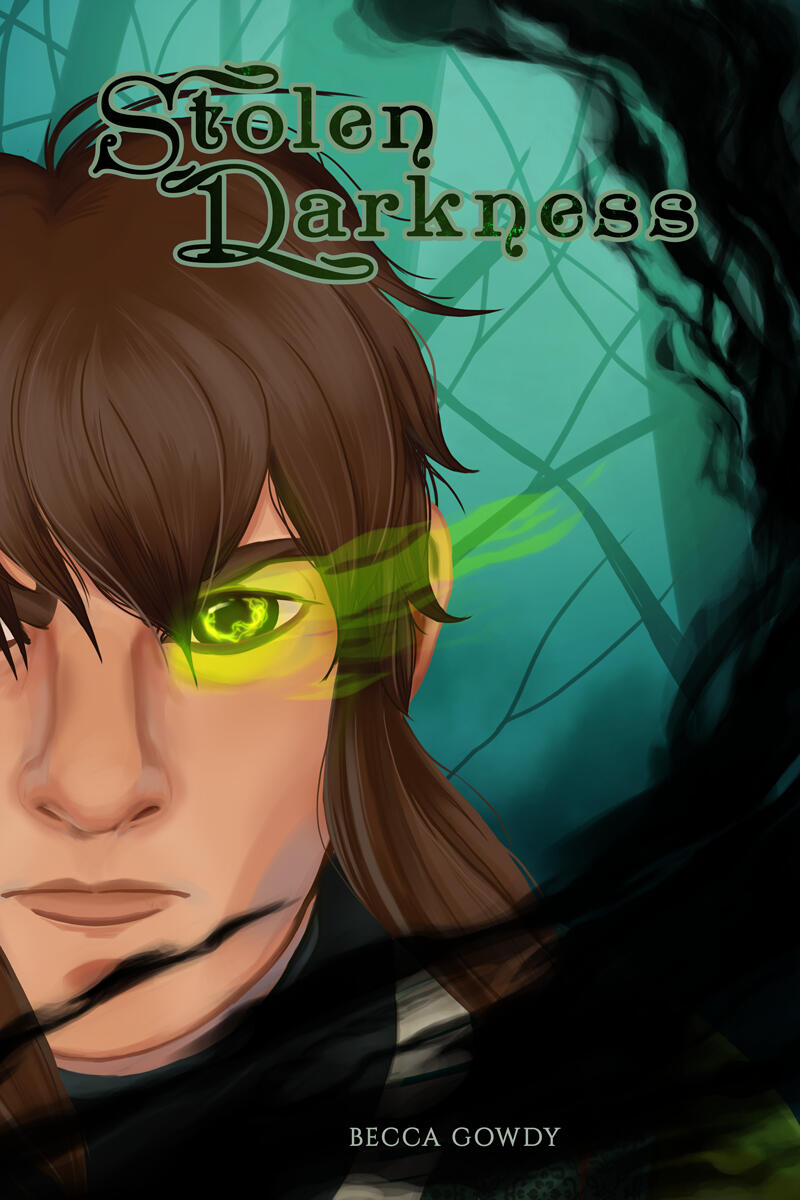 Stolen Darkness cover Example of an Illustrated cover